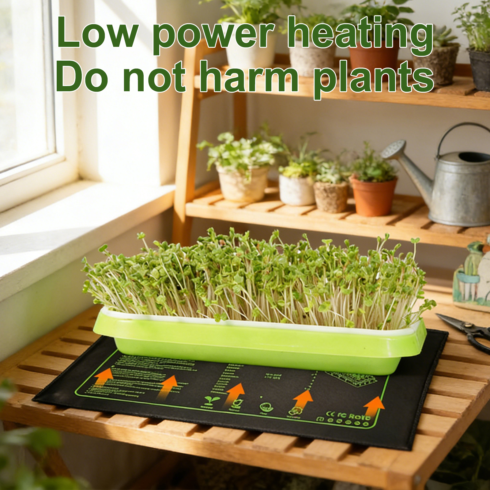 110V/220V Seedling Heating Mat - Heat Mat Seedling recensione e prezzo