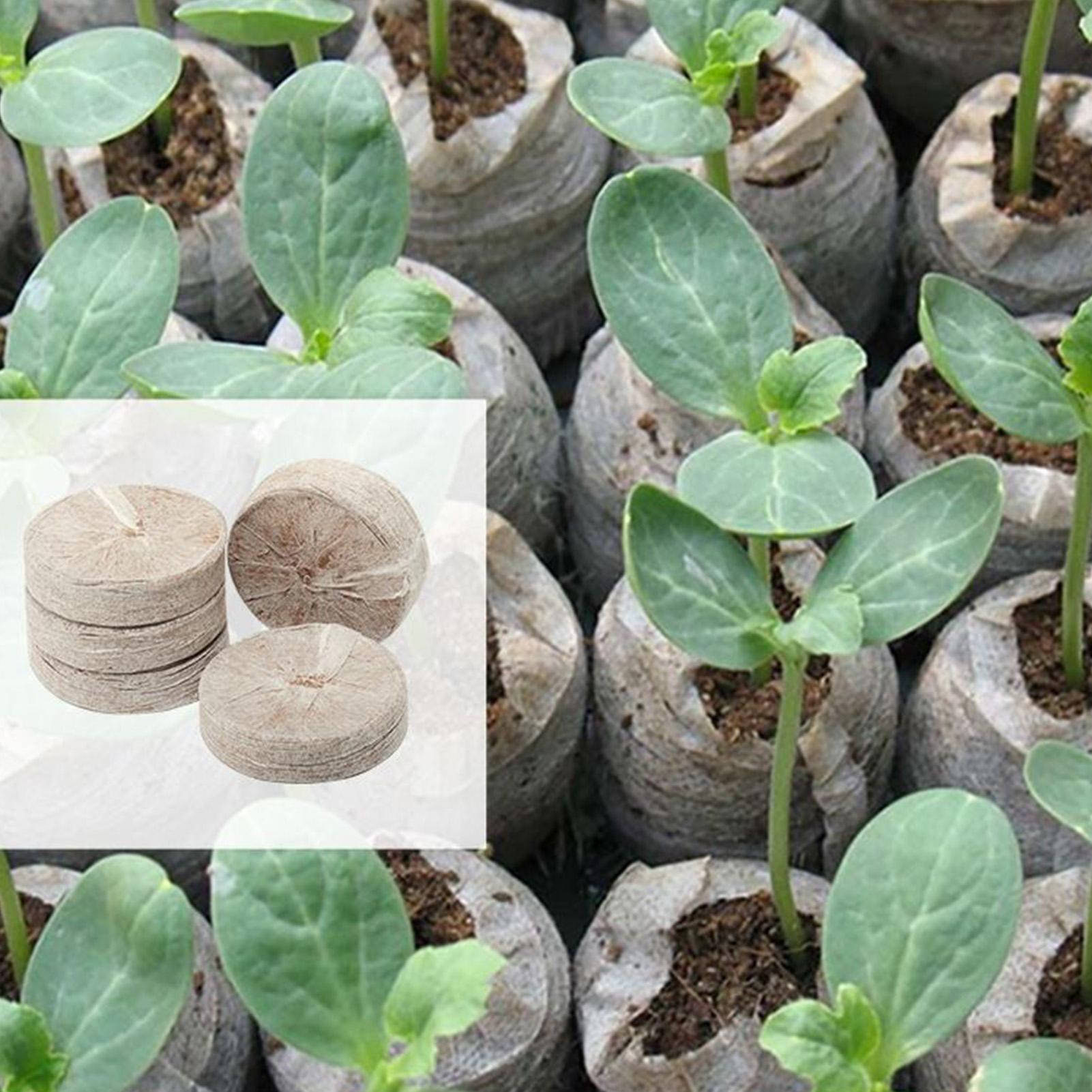 Peat Pellets 100 Piece Potting - Peat Pellet Tray recensione e prezzo