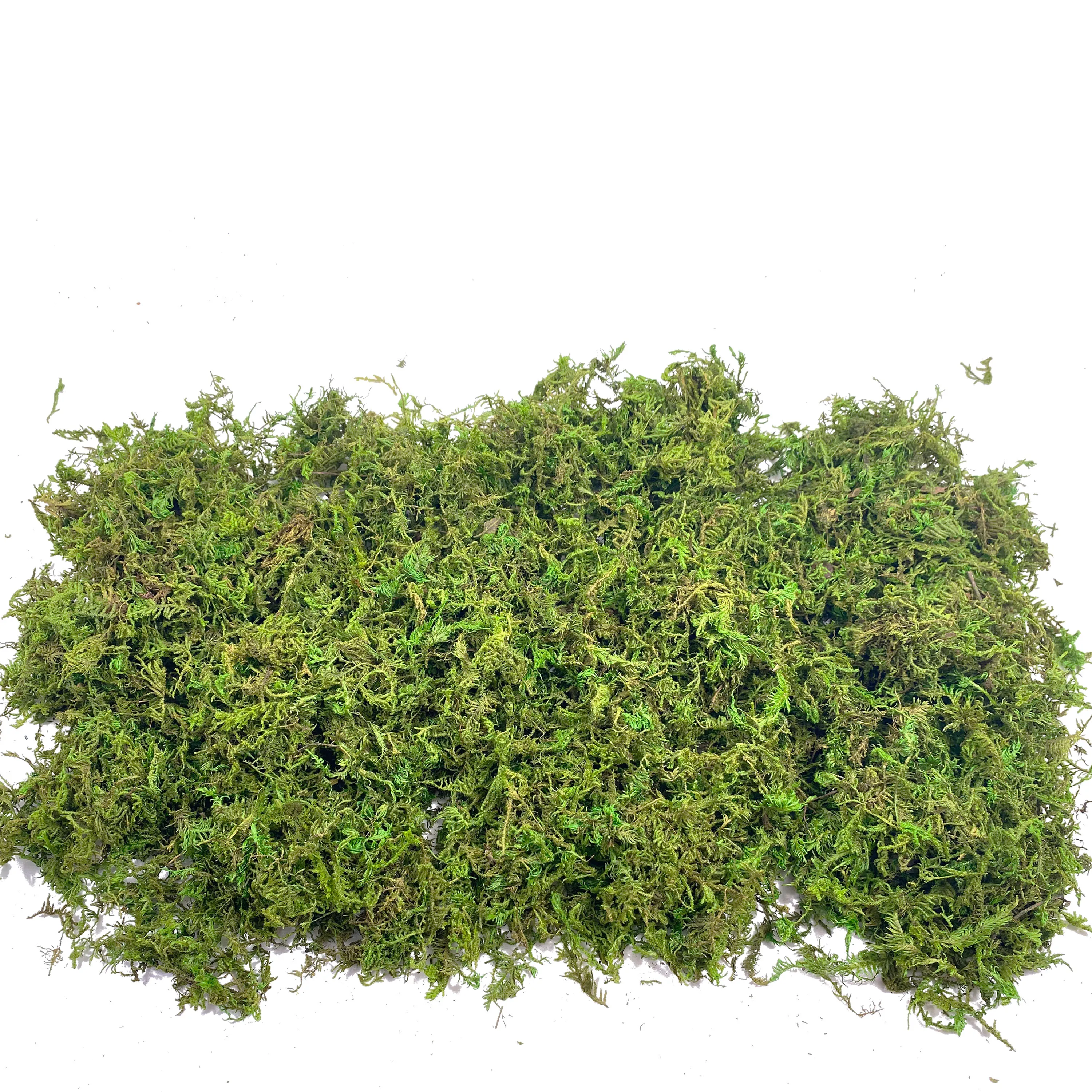 Fake Moss Artificial Moss for  - Sphagnum Moss Dry recensione e prezzo