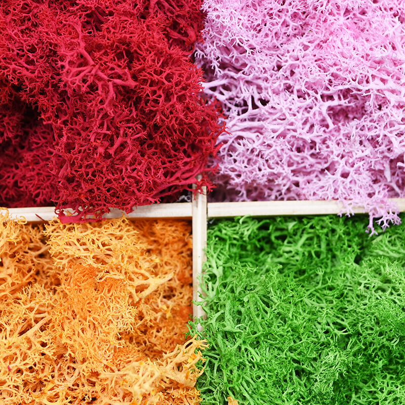20/40g Artificial Green Plants - Sphagnum Moss Dry recensione e prezzo