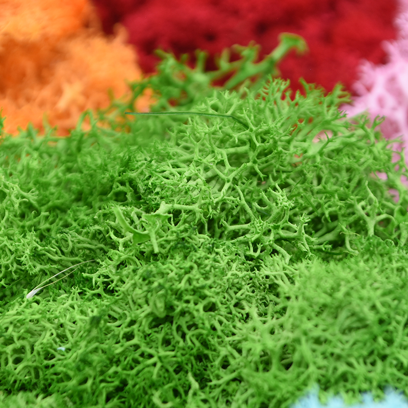 20/40g Artificial Green Plants - Sphagnum Moss Dry recensione e prezzo