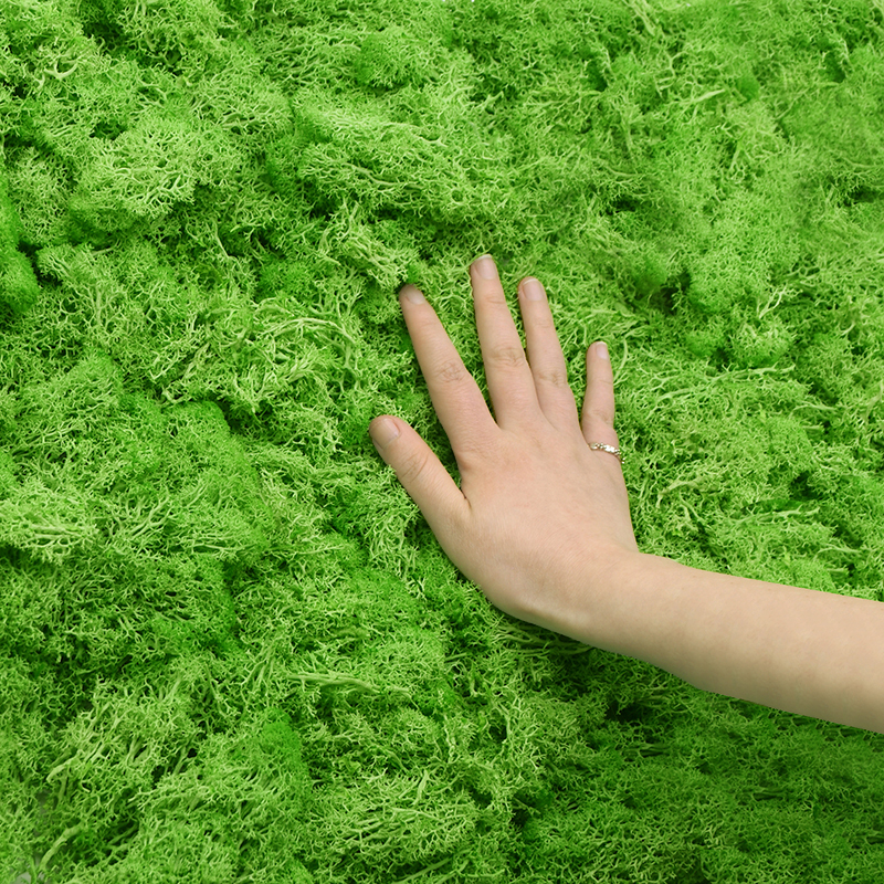 20/40g Artificial Green Plants - Sphagnum Moss Dry recensione e prezzo