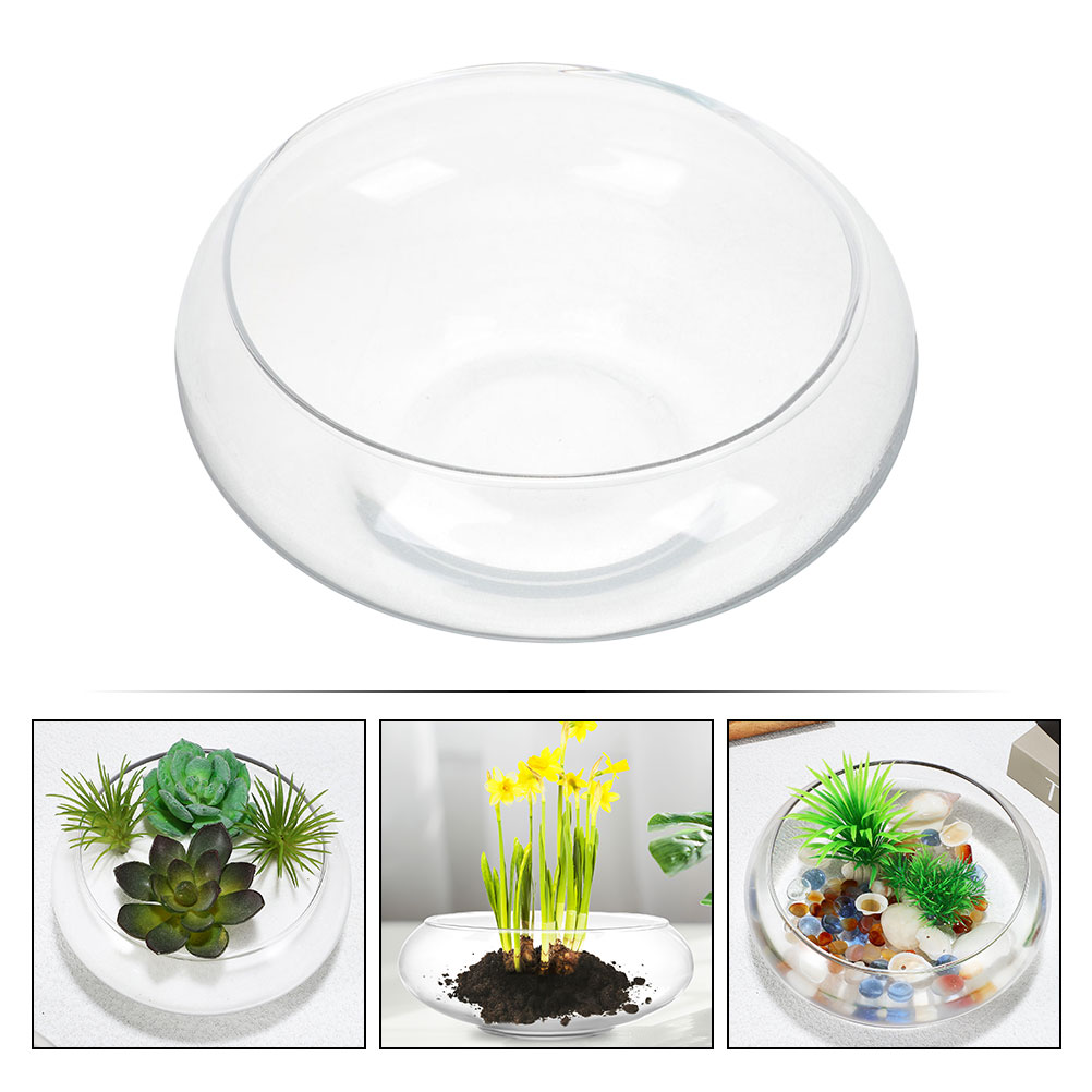 Wide Mouth Glass Vase Narcissu - Propagation Station Vase recensione e prezzo