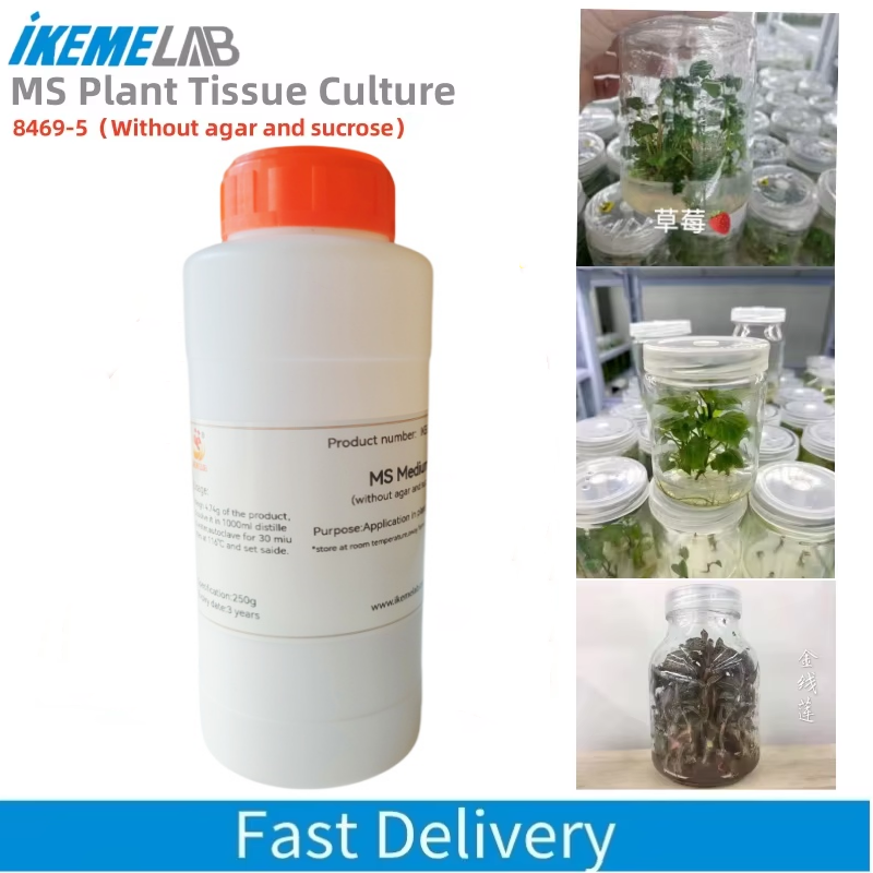 IKEME 250g Lab MS Medium Witho - Agar Tissue Culture recensione e prezzo