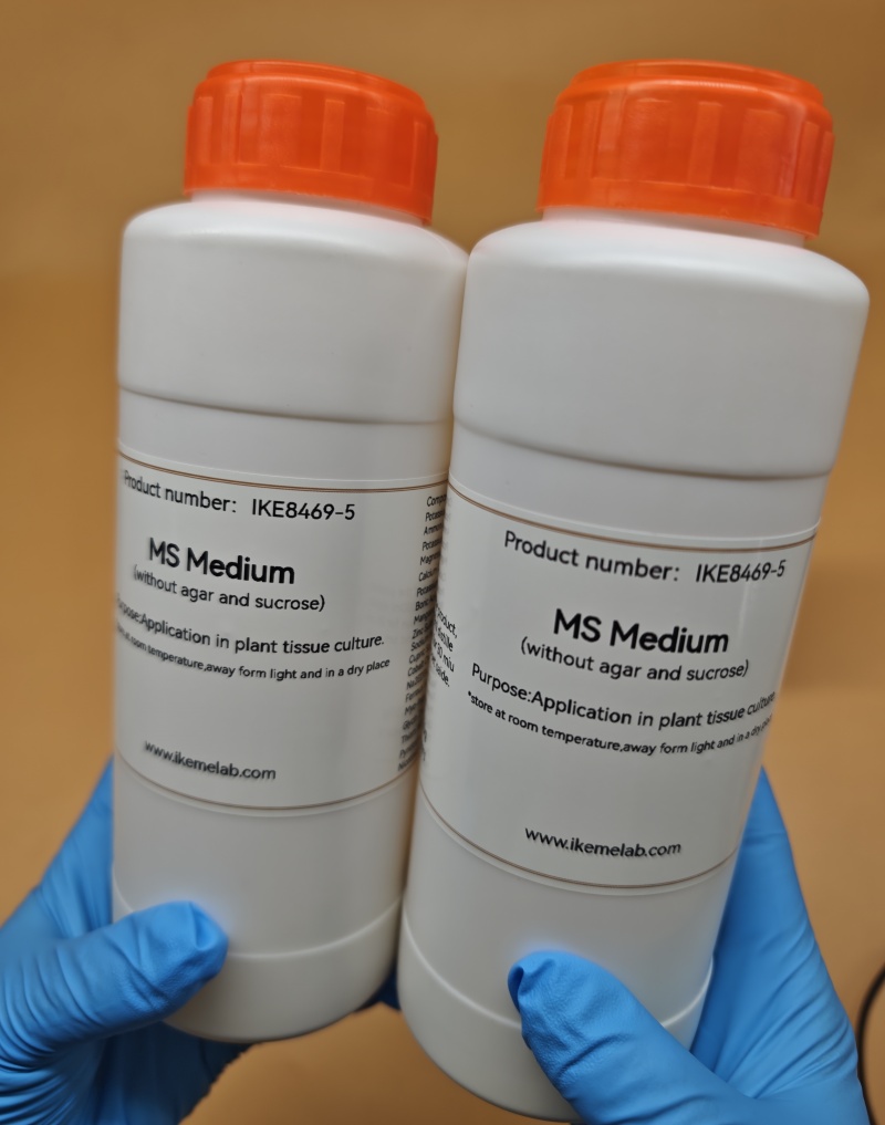 IKEME 250g Lab MS Medium Witho - Agar Tissue Culture recensione e prezzo