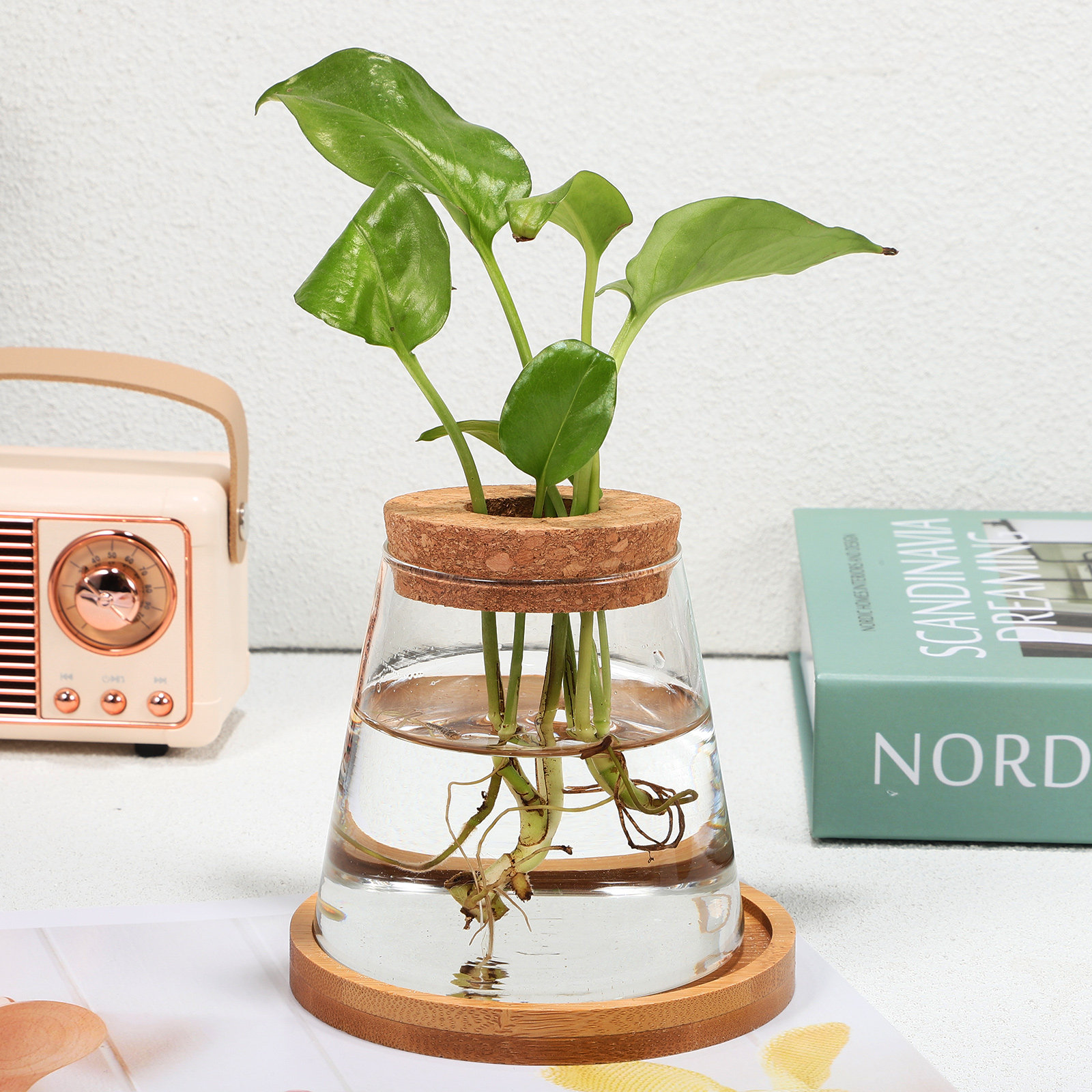 2Pcs Water Planters Glass Prop - Propagation Station Vase recensione e prezzo