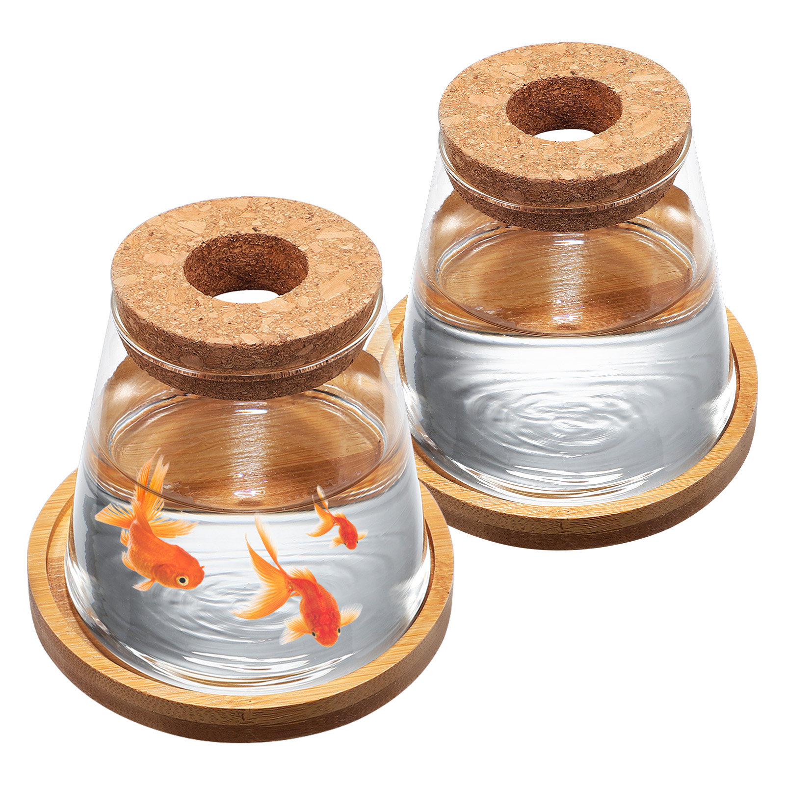 2Pcs Water Planters Glass Prop - Propagation Station Vase recensione e prezzo