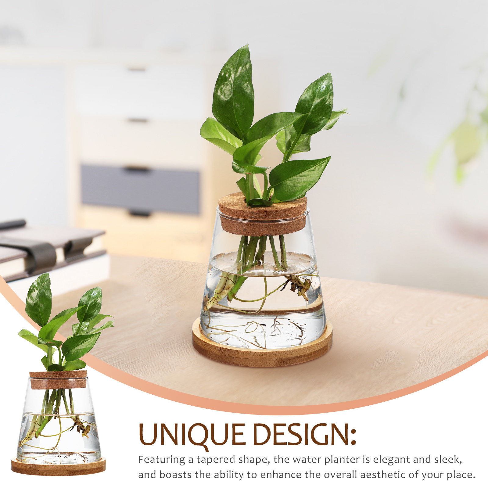 2Pcs Water Planters Glass Prop - Propagation Station Vase recensione e prezzo