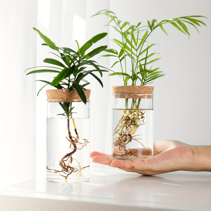 1pc, Hydroponics Plants Deskto - Propagation Station Vase recensione e prezzo