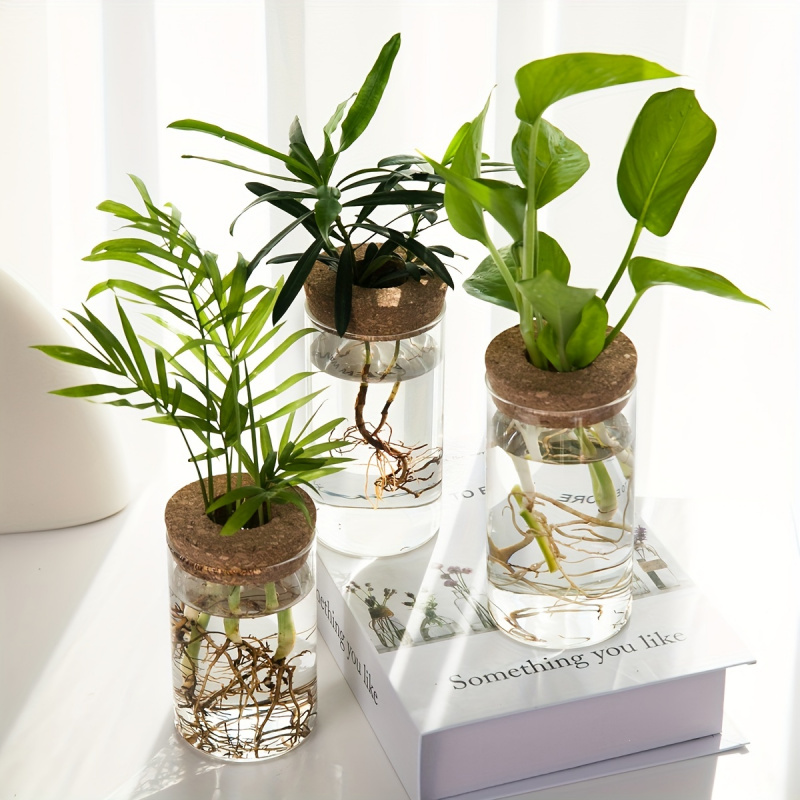 1pc, Hydroponics Plants Deskto - Propagation Station Vase recensione e prezzo