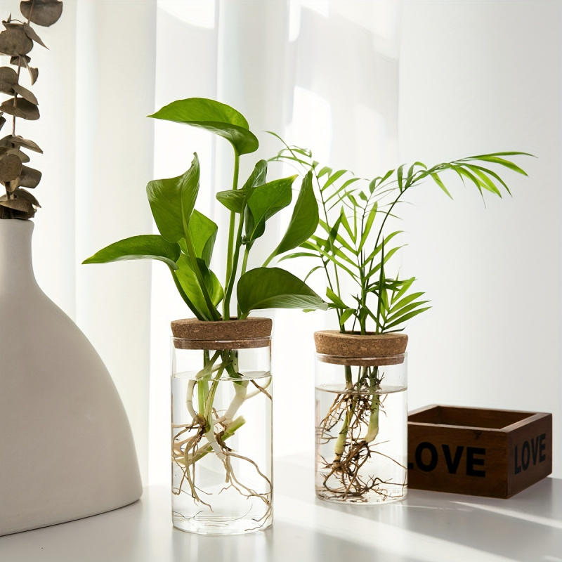 1pc, Hydroponics Plants Deskto - Propagation Station Vase recensione e prezzo