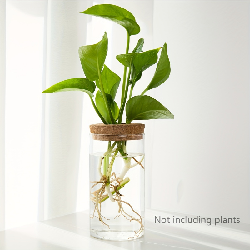 1pc, Hydroponics Plants Deskto - Propagation Station Vase recensione e prezzo
