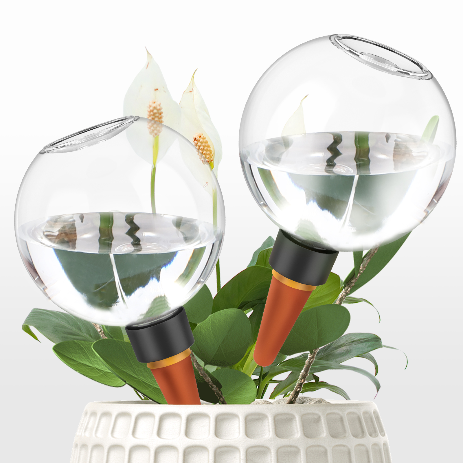 2/4Pcs 500ML Automatic Drip Ir - Self Watering Insert recensione e prezzo