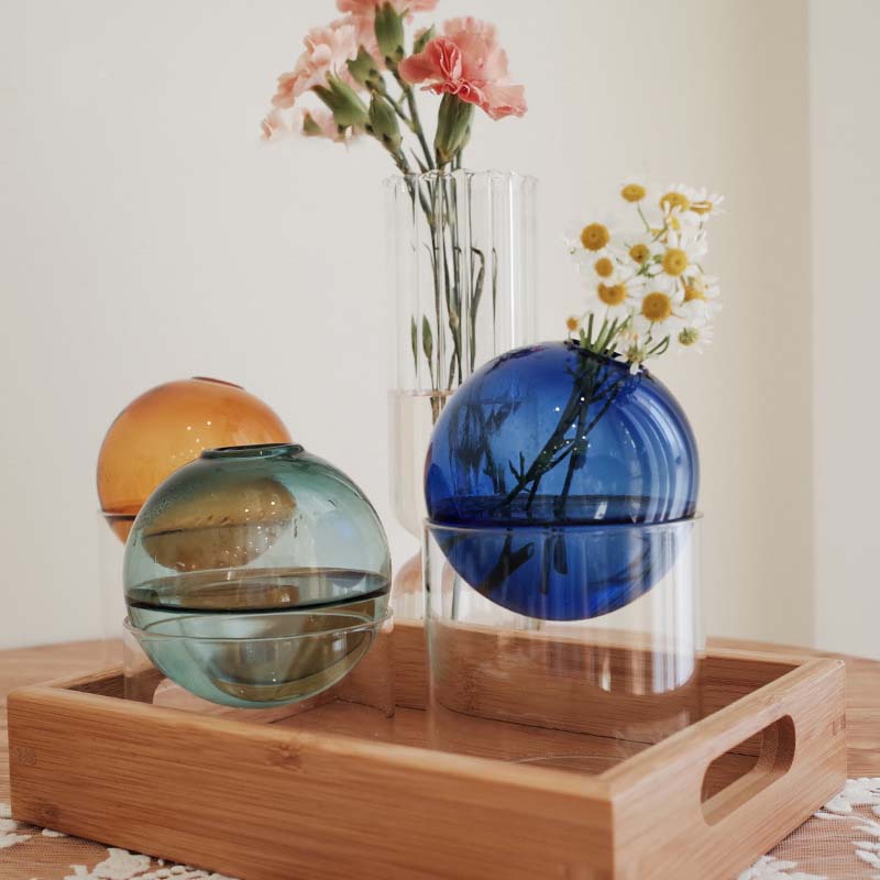Mini Round Flower Vase Hydropo - Propagation Station Vase recensione e prezzo