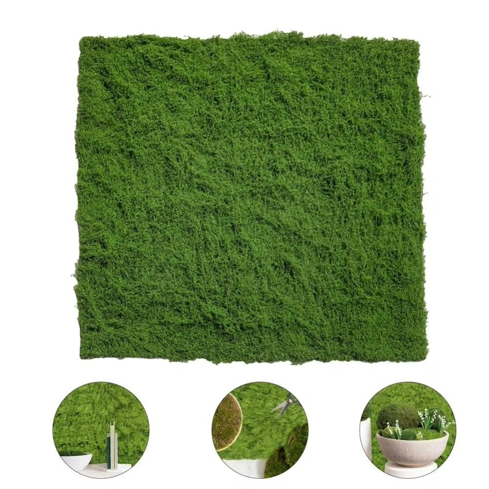 DIY Artificial Grass Rug Lifel - Sphagnum Moss Dry recensione e prezzo