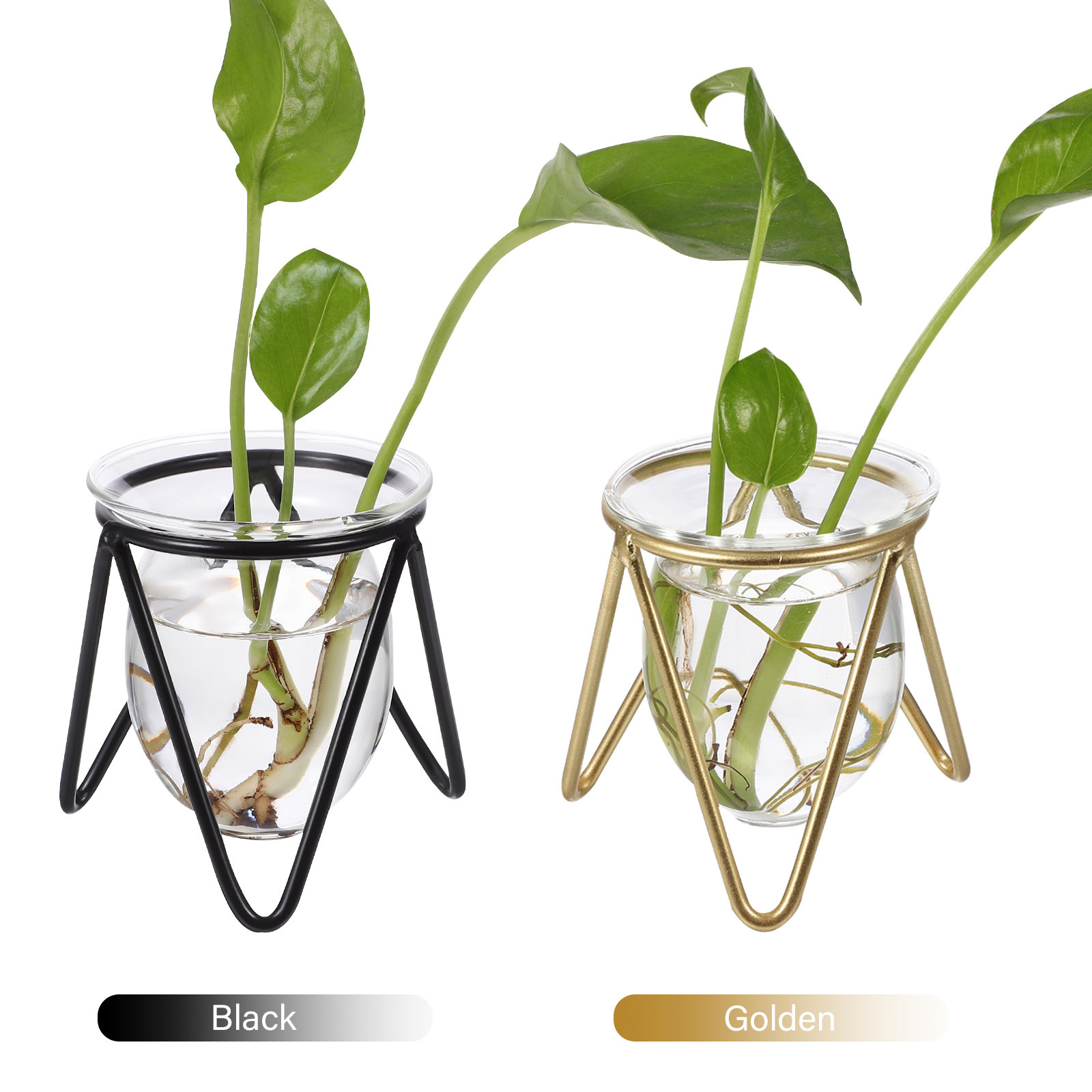 2Pcs Clear Glass Vase with Met - Propagation Station Vase recensione e prezzo