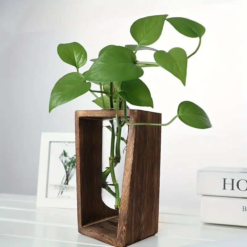 Modern Wood Propagation Vase - - Propagation Station Vase recensione e prezzo