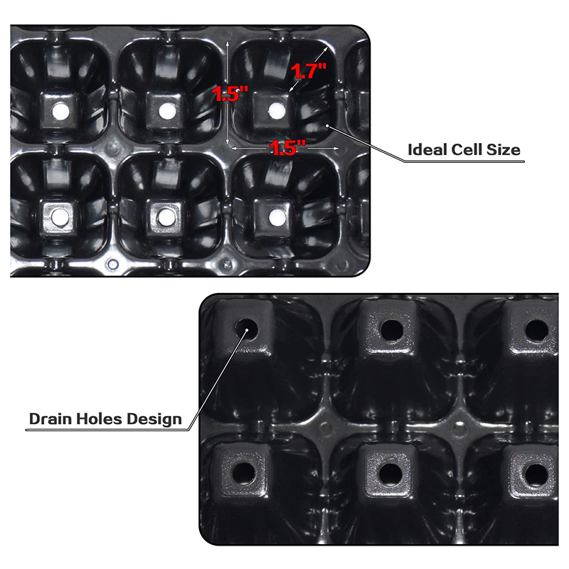 B84B-10 Pack Seed Starter Tray - Propagation Tray 72 recensione e prezzo