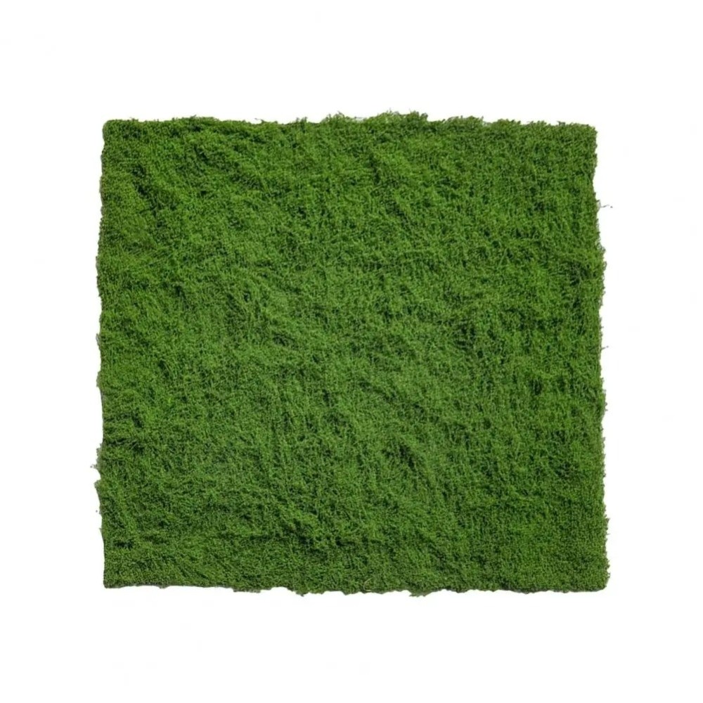 DIY Artificial Grass Rug Durab - Sphagnum Moss Dry recensione e prezzo
