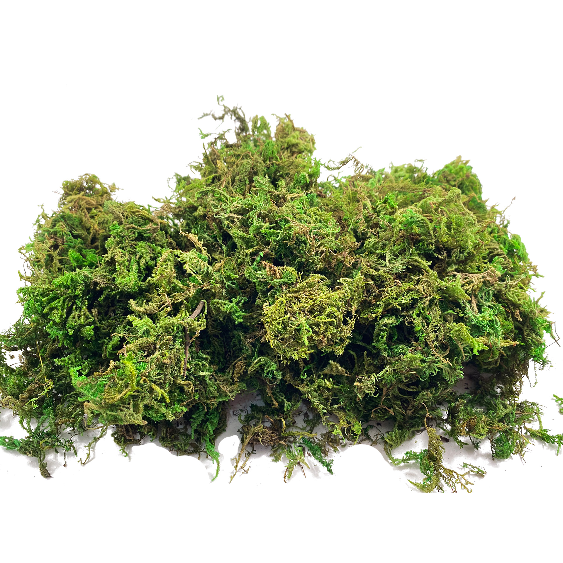 Artificial Fake Moss, Craft Mo - Sphagnum Moss Dry recensione e prezzo