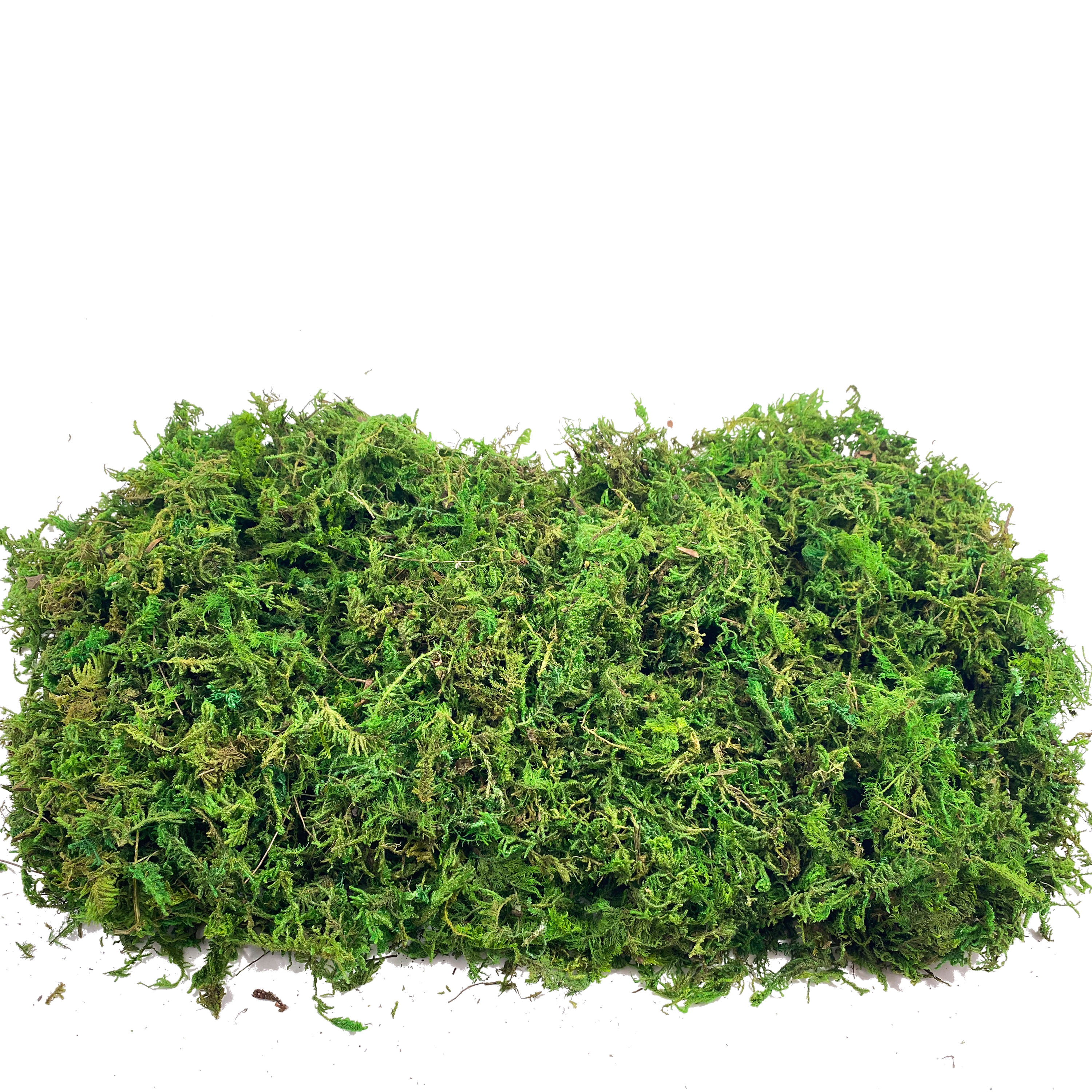 Artificial Fake Moss, Craft Mo - Sphagnum Moss Dry recensione e prezzo