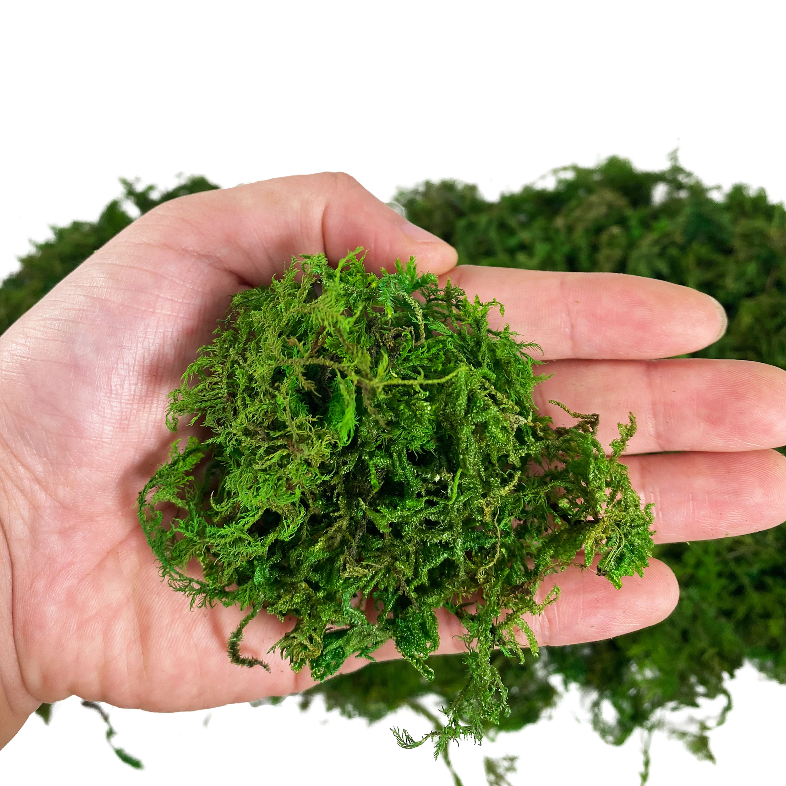 Artificial Fake Moss, Craft Mo - Sphagnum Moss Dry recensione e prezzo