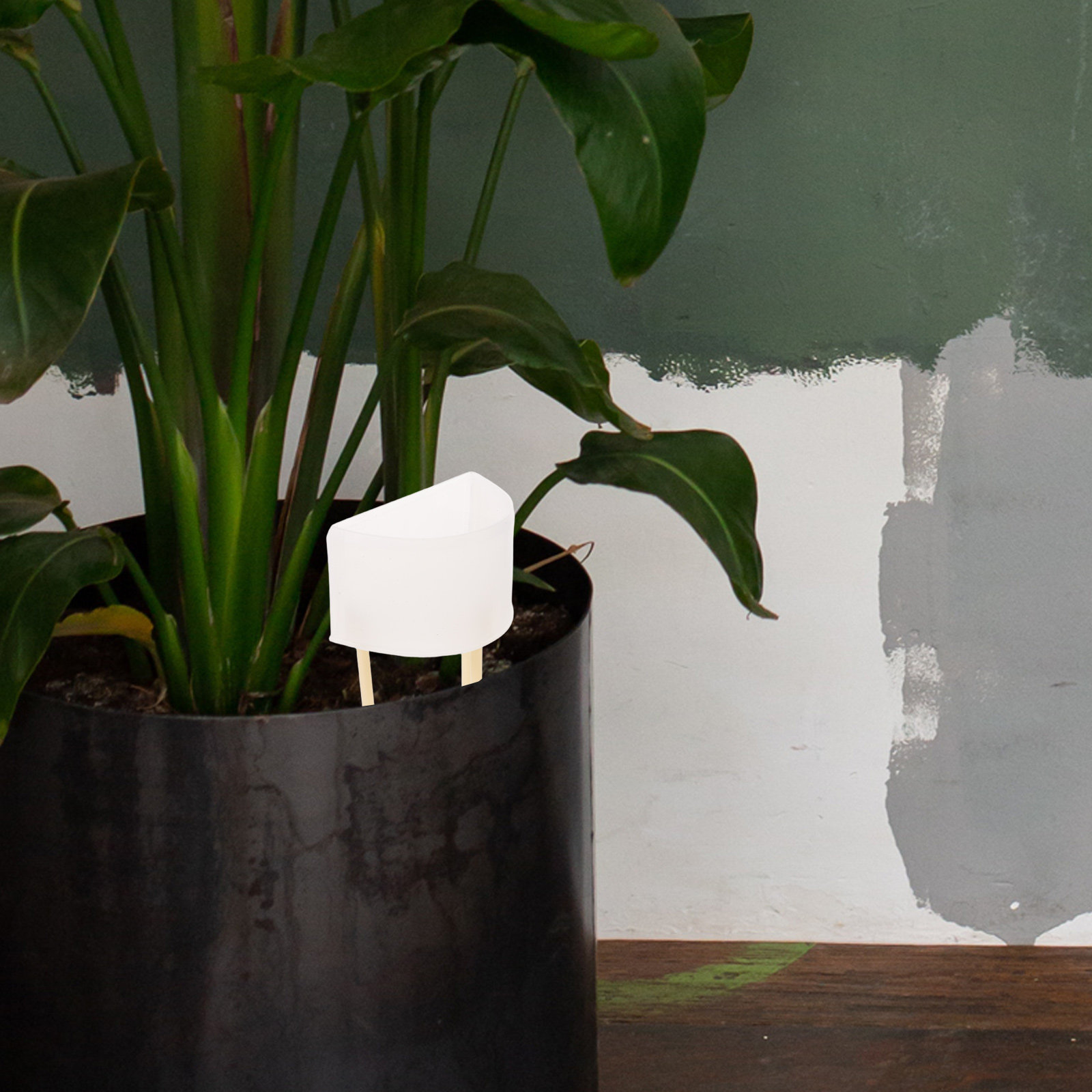 Moss Pole Watering Dripper Adj - Self Watering Insert recensione e prezzo
