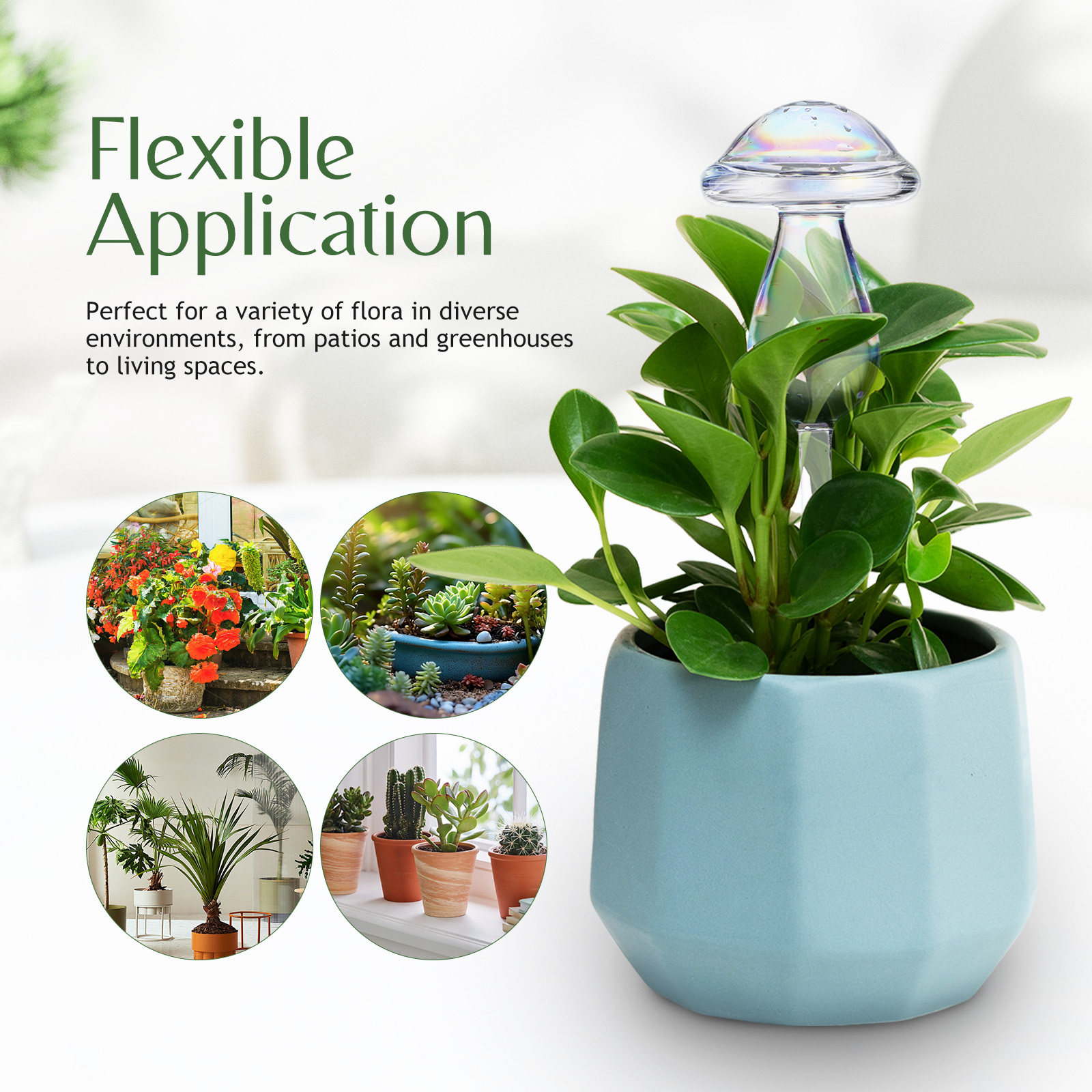 4 Pcs Pot Watering Device Plan - Self Watering Insert recensione e prezzo
