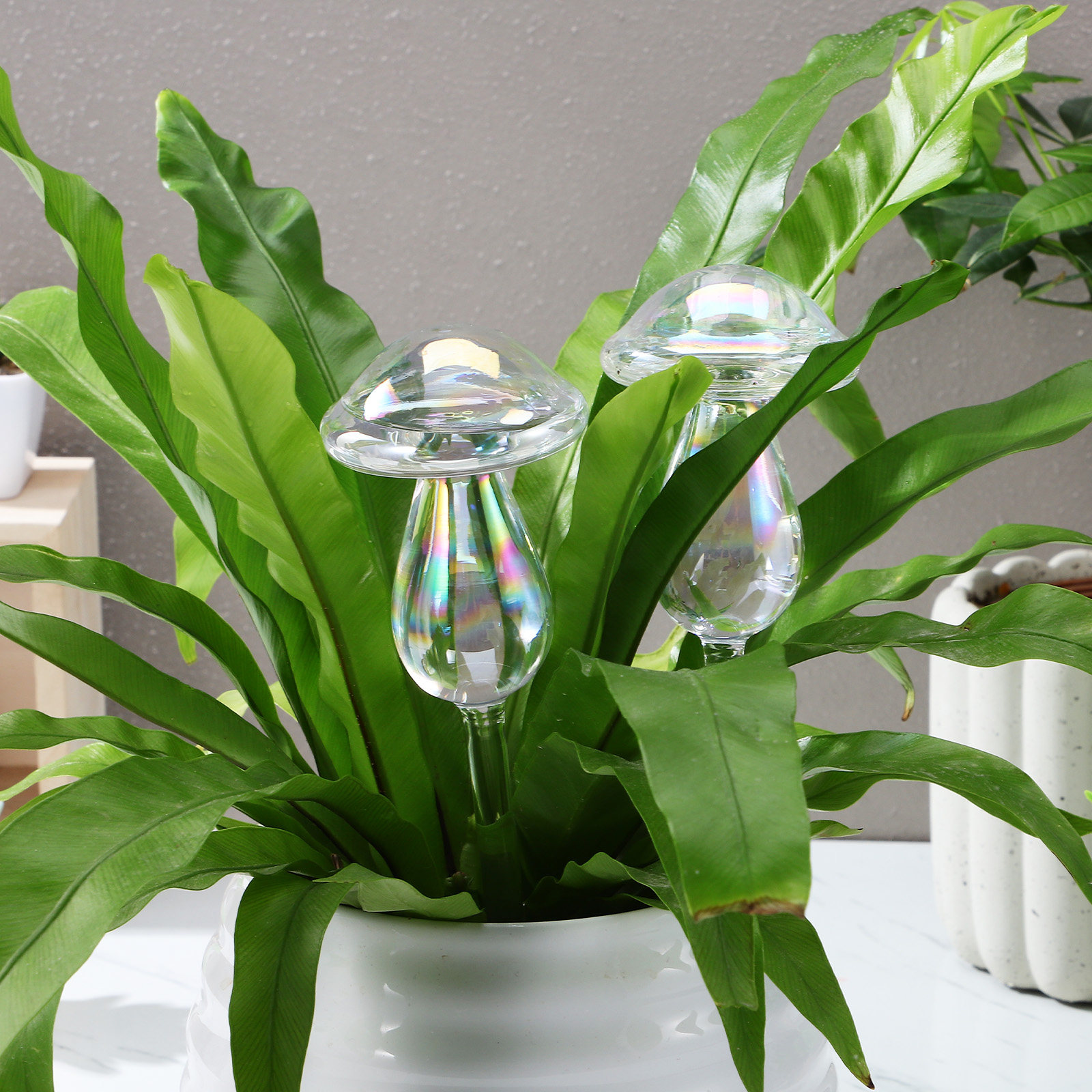 4 Pcs Pot Watering Device Plan - Self Watering Insert recensione e prezzo