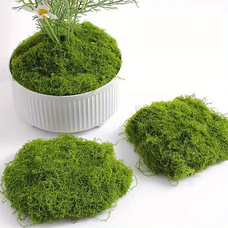 1 \ 5 \ 8 pcs artificial simul - Sphagnum Moss Dry recensione e prezzo