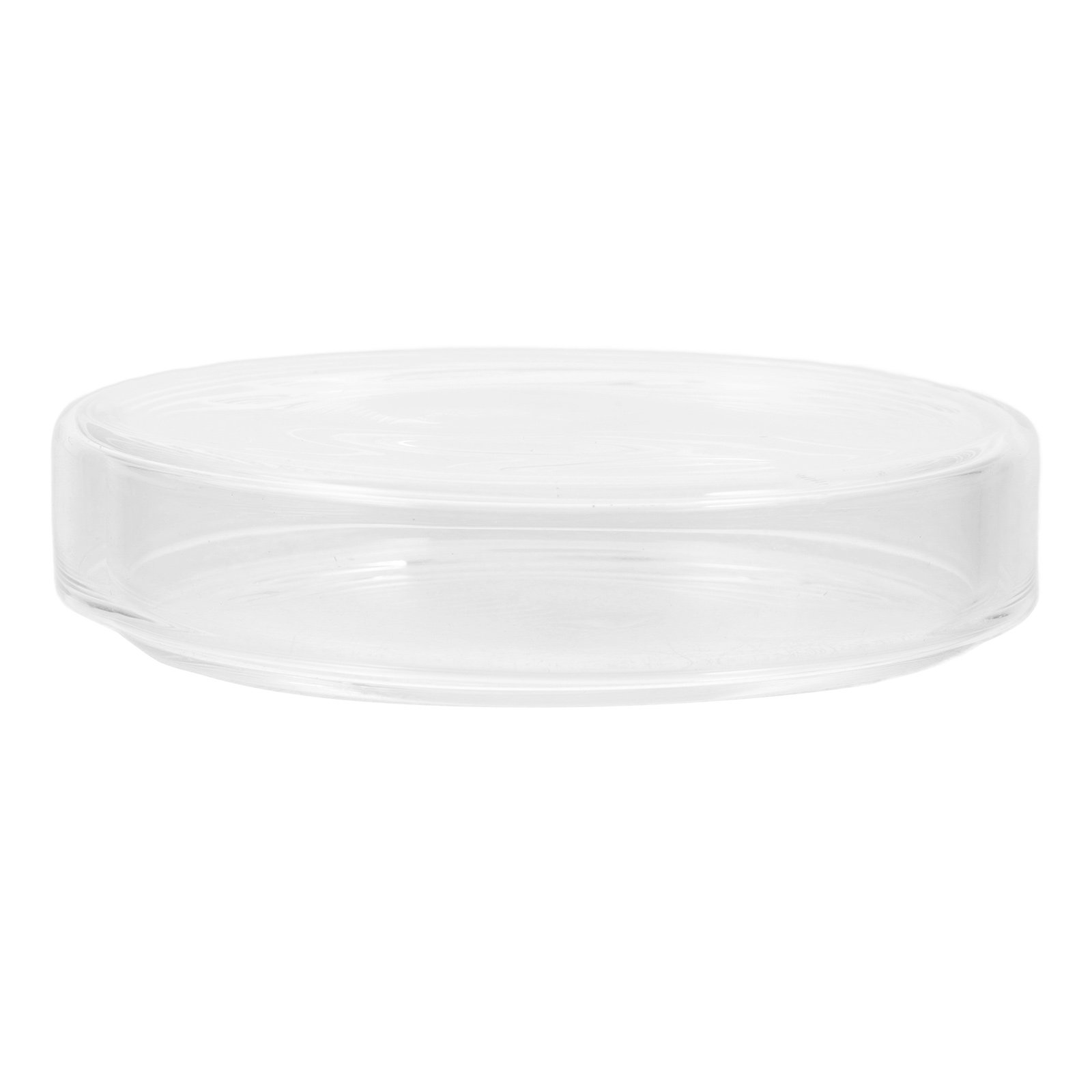 High Borosilicate Glass Petri  - Agar Tissue Culture recensione e prezzo