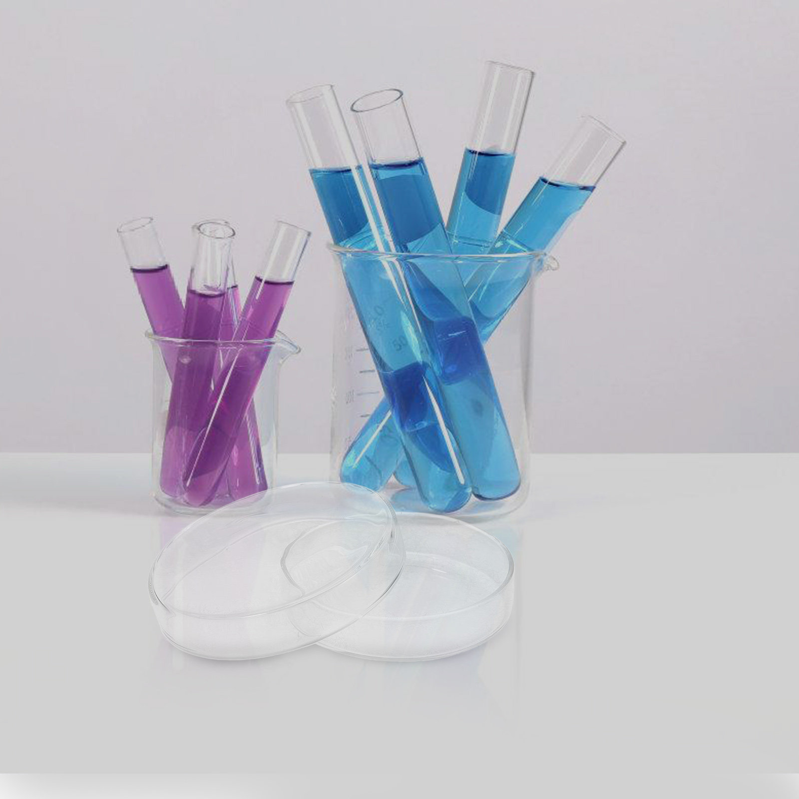 High Borosilicate Glass Petri  - Agar Tissue Culture recensione e prezzo