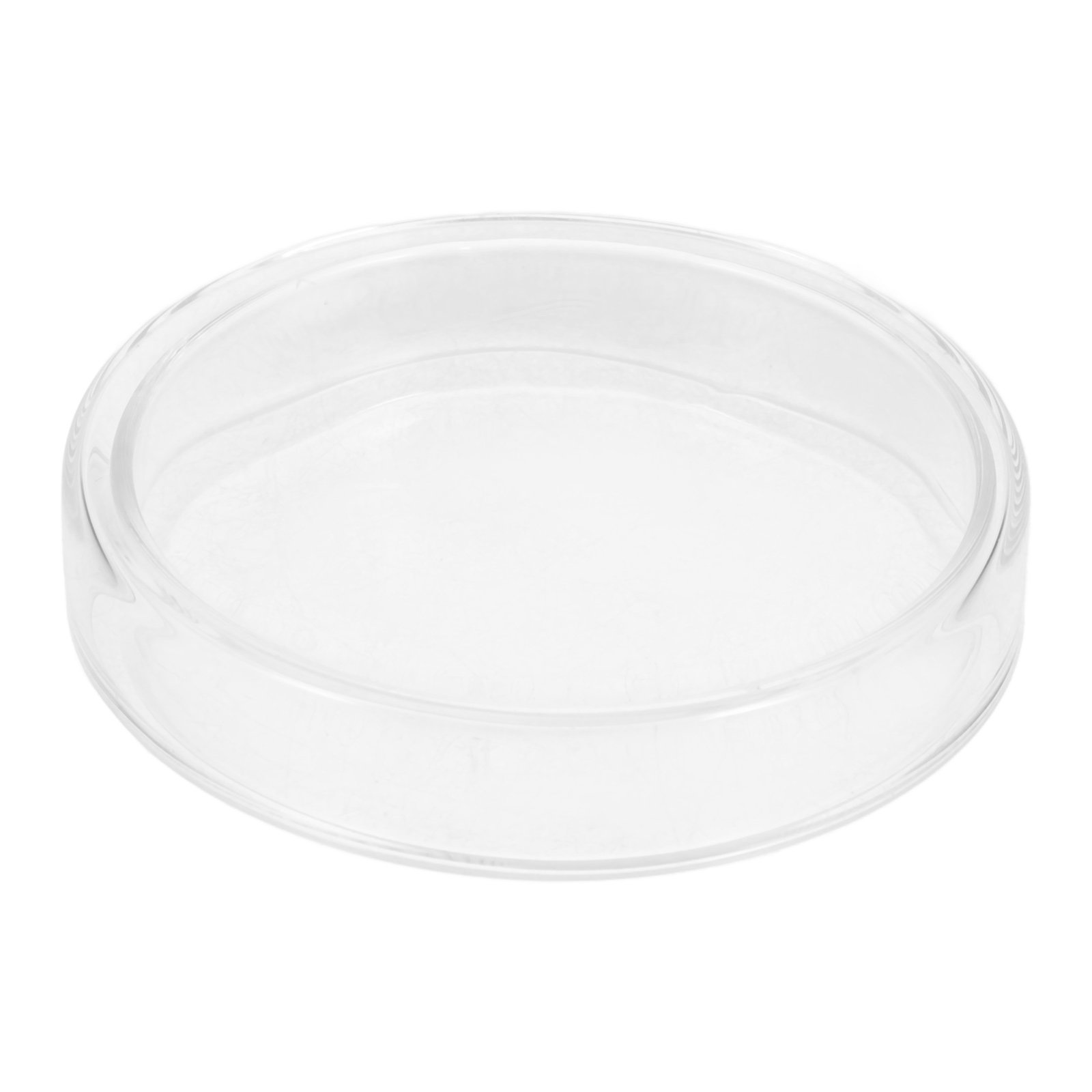 High Borosilicate Glass Petri  - Agar Tissue Culture recensione e prezzo