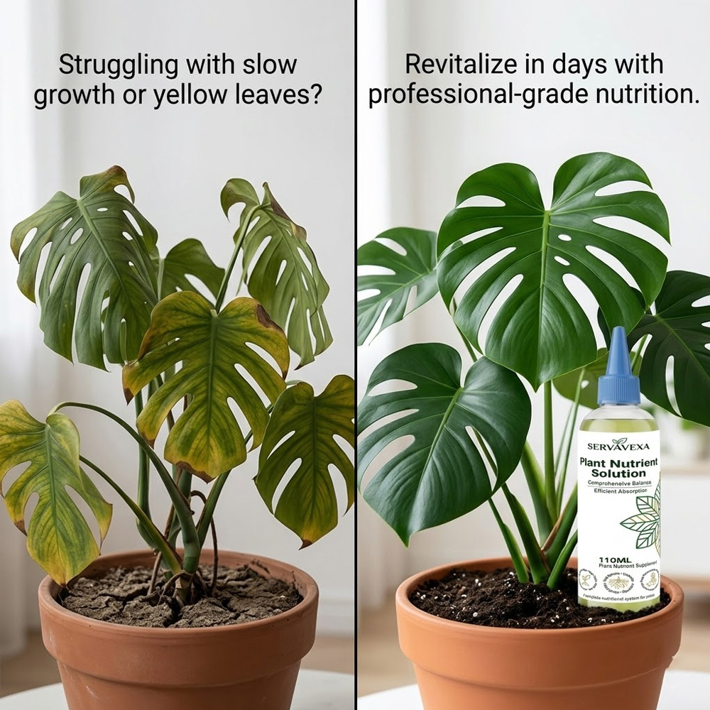 Plant  Nutrient Solution Rapid - Root Stimulator Liquid recensione e prezzo