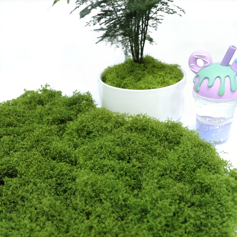 50g Fake Moss DIY Crafts Grass - Sphagnum Moss Dry recensione e prezzo