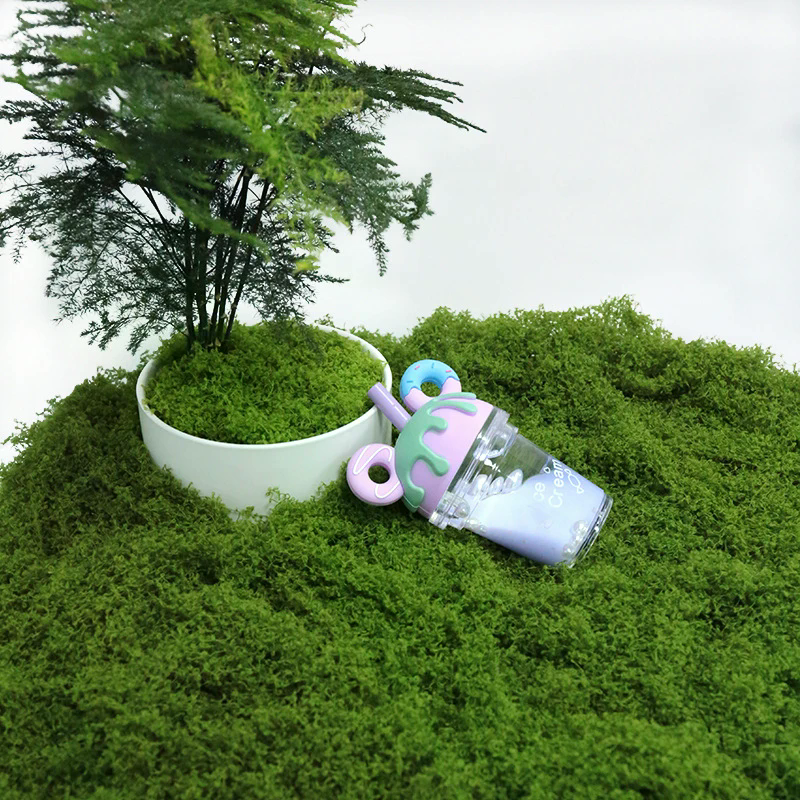50g Fake Moss DIY Crafts Grass - Sphagnum Moss Dry recensione e prezzo