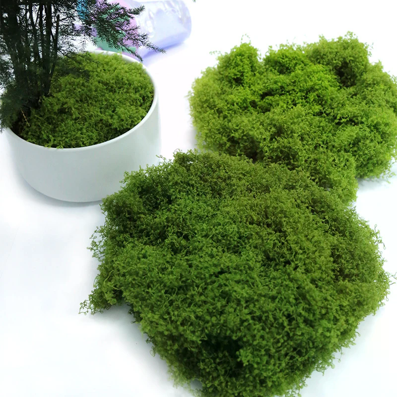 50g Fake Moss DIY Crafts Grass - Sphagnum Moss Dry recensione e prezzo