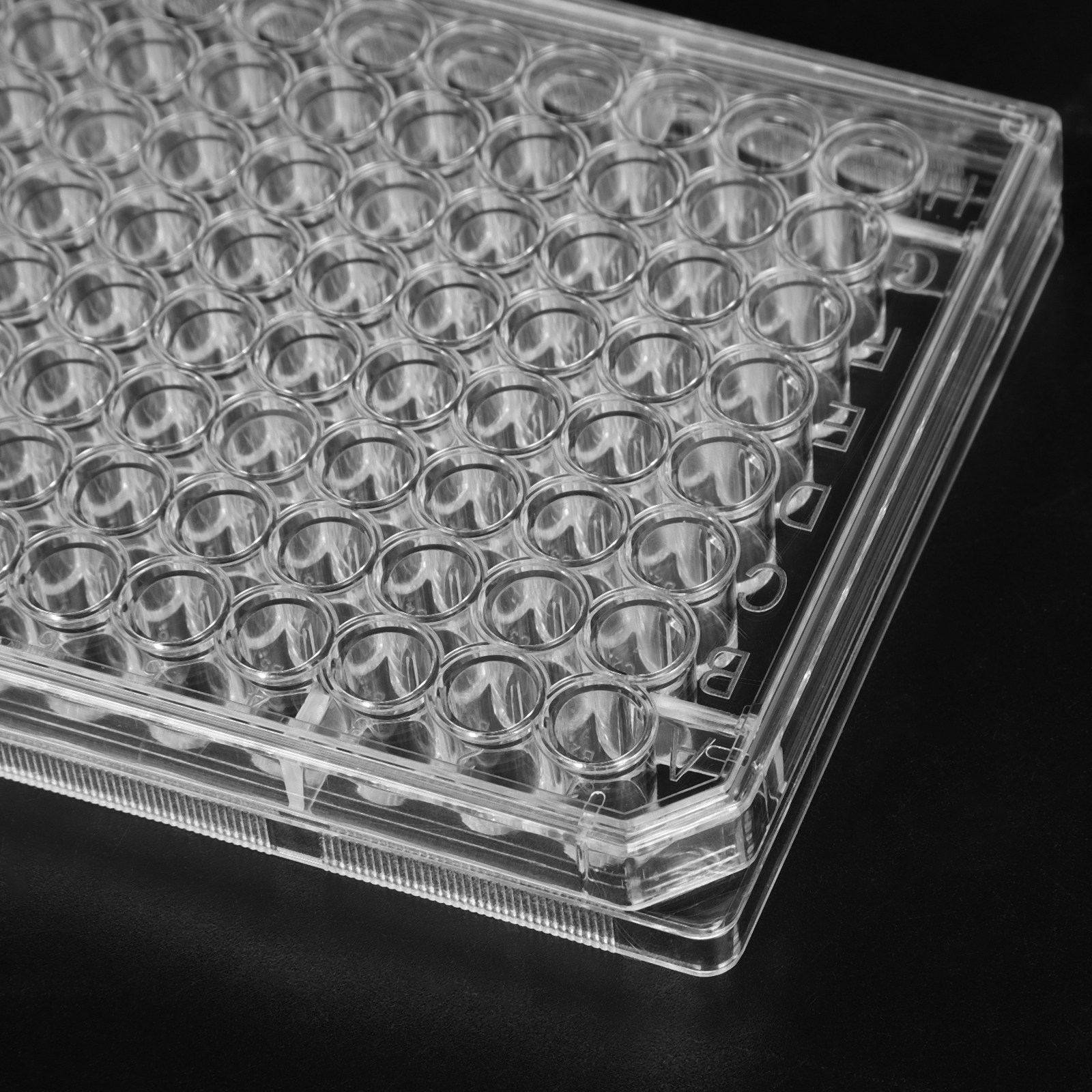 10Pcs Cell Culture Plate Steri - Agar Tissue Culture recensione e prezzo