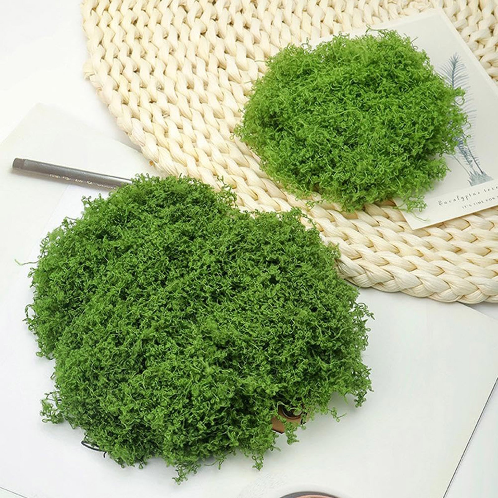 50/200g Artificial Moss For De - Sphagnum Moss Dry recensione e prezzo