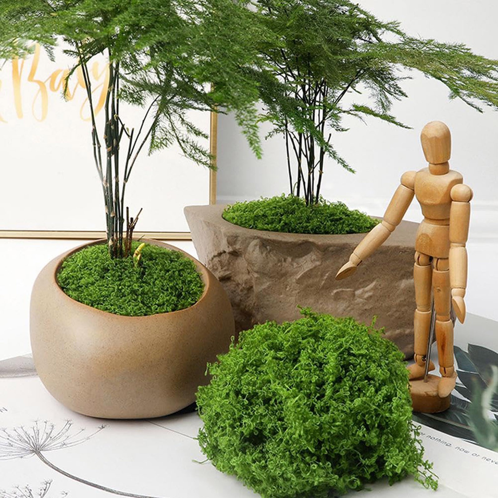 50/200g Artificial Moss For De - Sphagnum Moss Dry recensione e prezzo