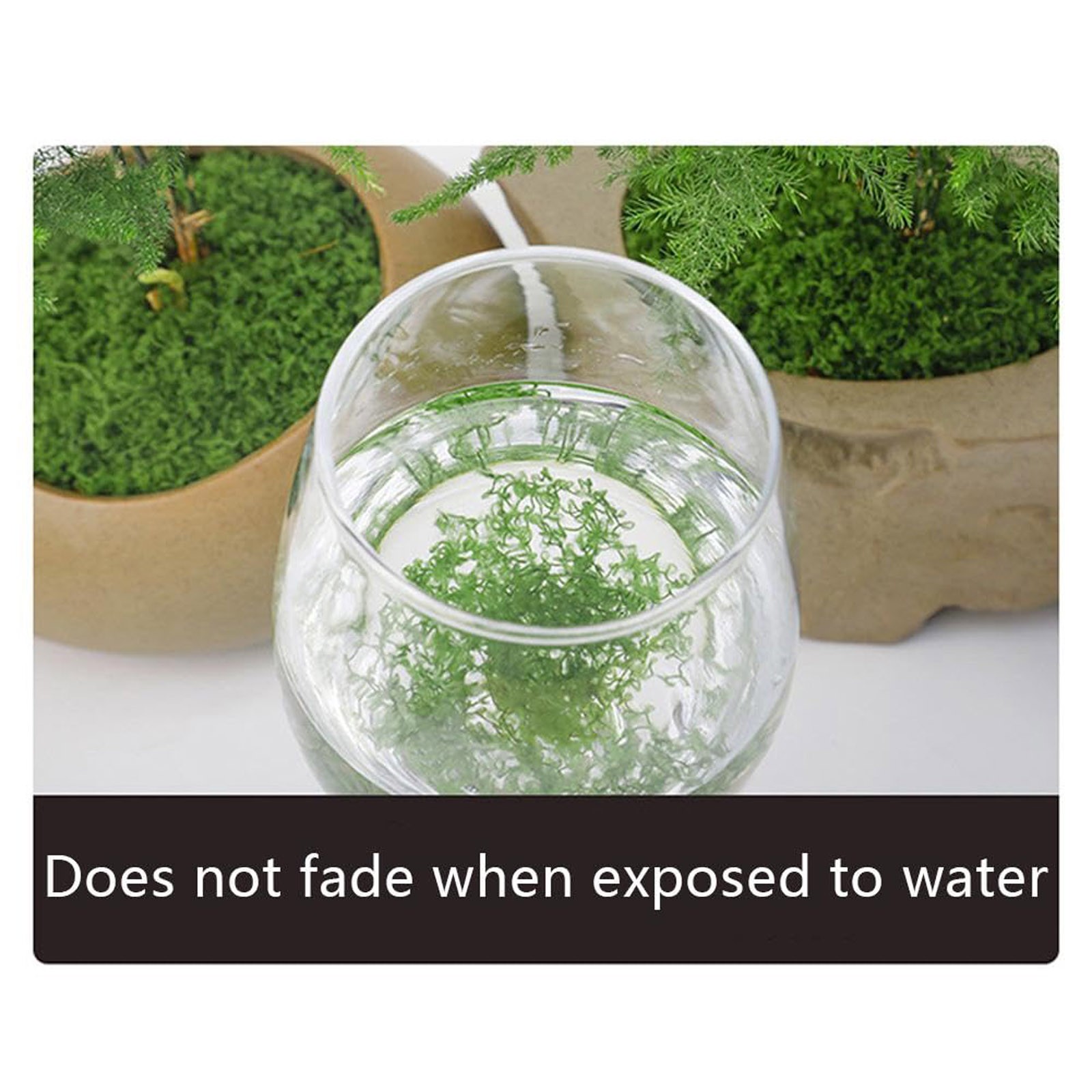 50/200g Artificial Moss For De - Sphagnum Moss Dry recensione e prezzo