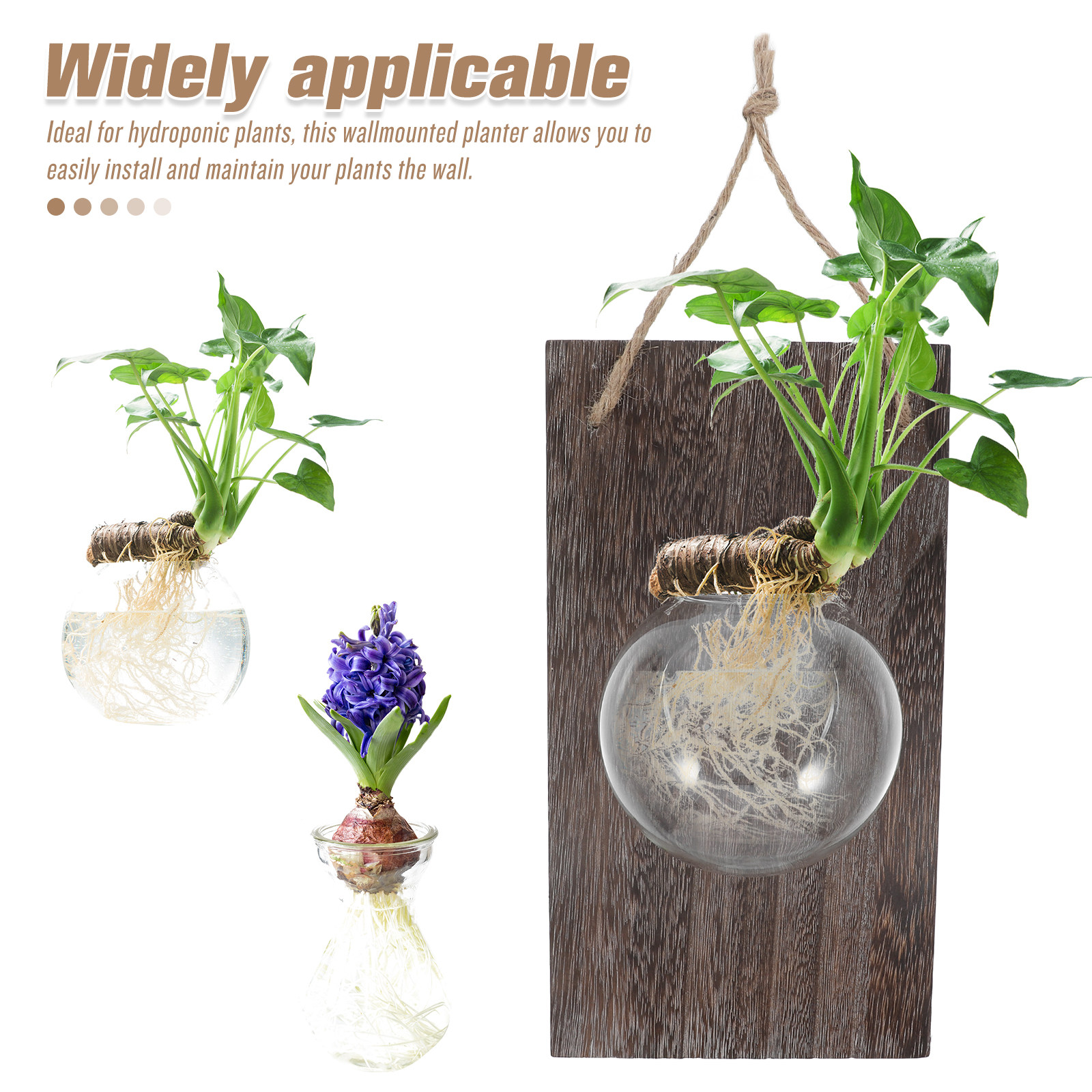 Wall Mounted Glass Planter Han - Propagation Station Vase recensione e prezzo