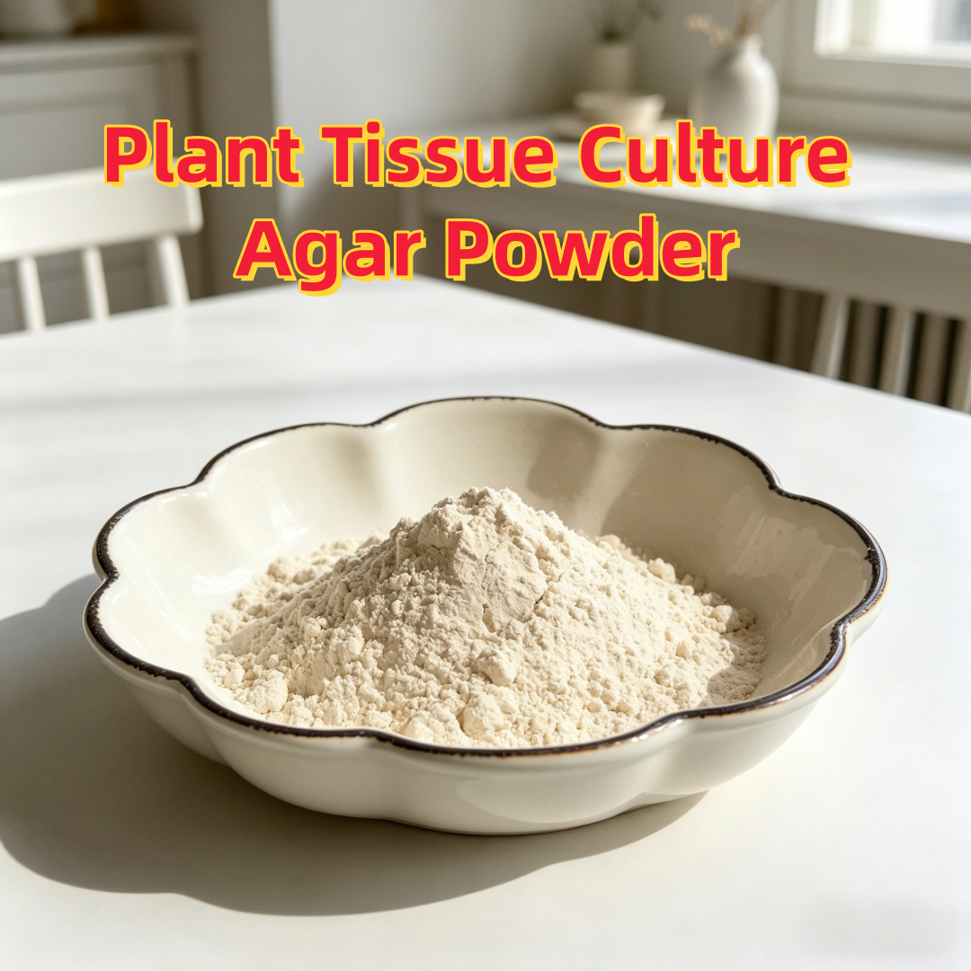High Gel Strength Plant Tissue - Agar Tissue Culture recensione e prezzo