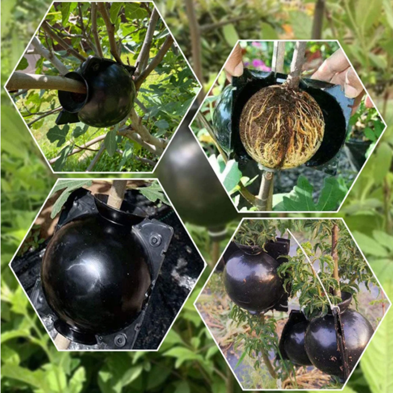 Garden Orchard Plants Grafting - Rooting Gel Clone recensione e prezzo