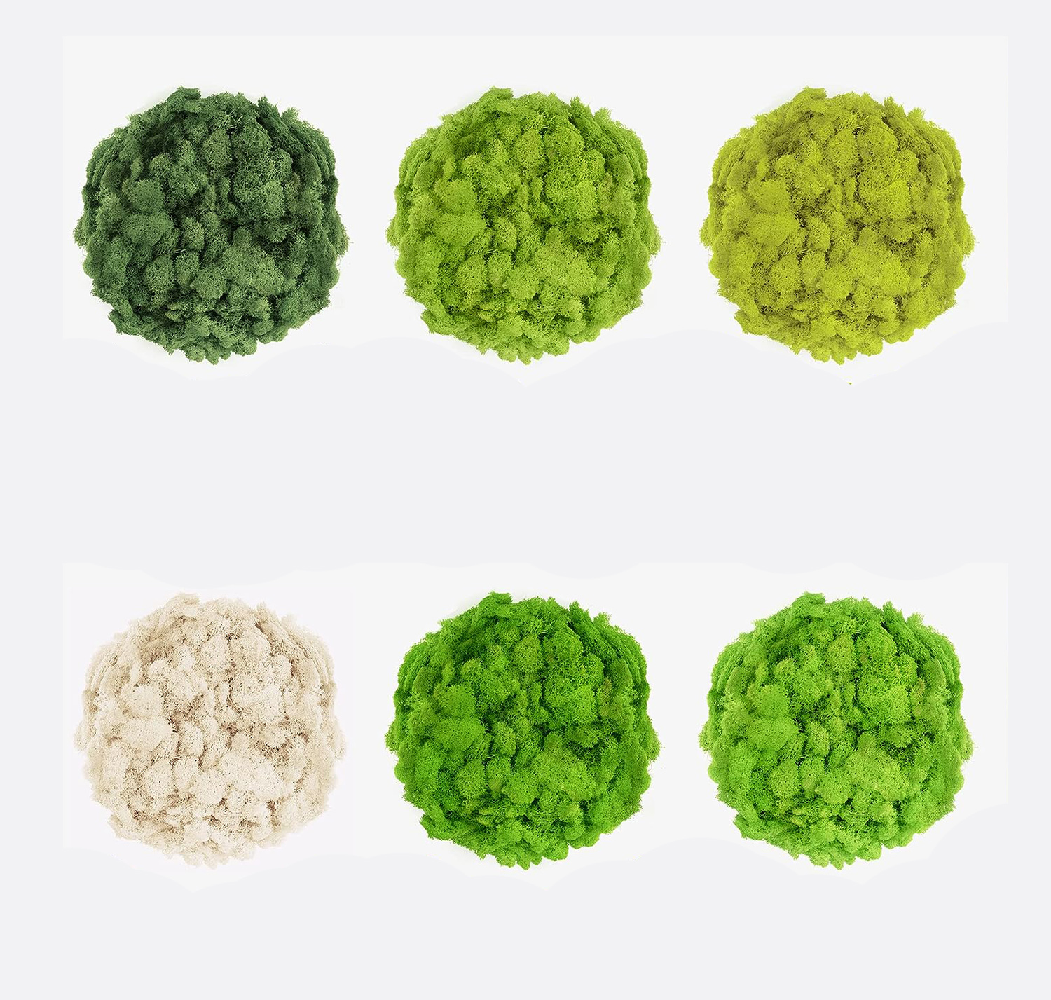 20/40/60g Eternal Life Moss Ar - Sphagnum Moss Dry recensione e prezzo