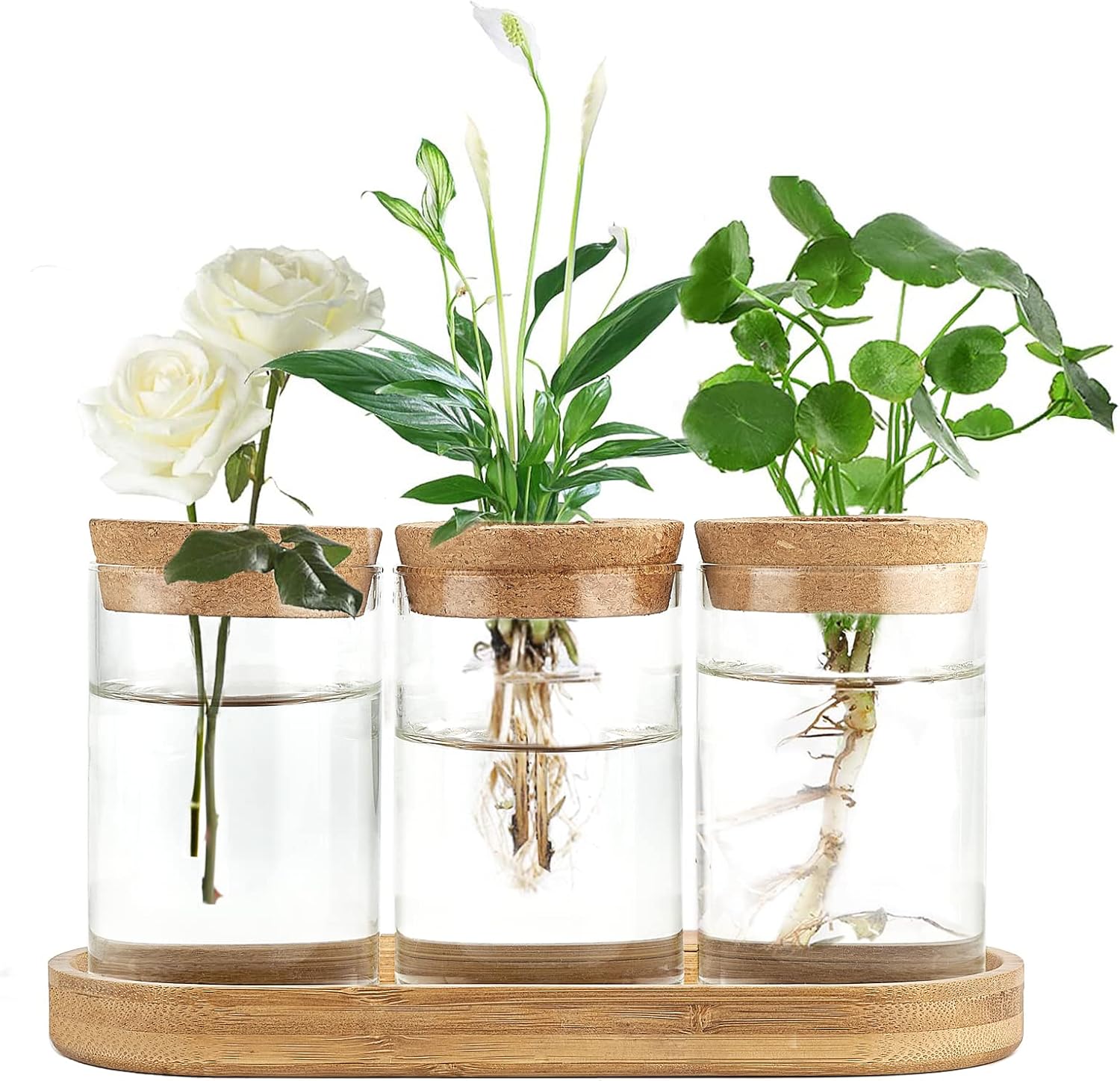 3 Pcs Glass Plant Propagation  - Propagation Station Vase recensione e prezzo