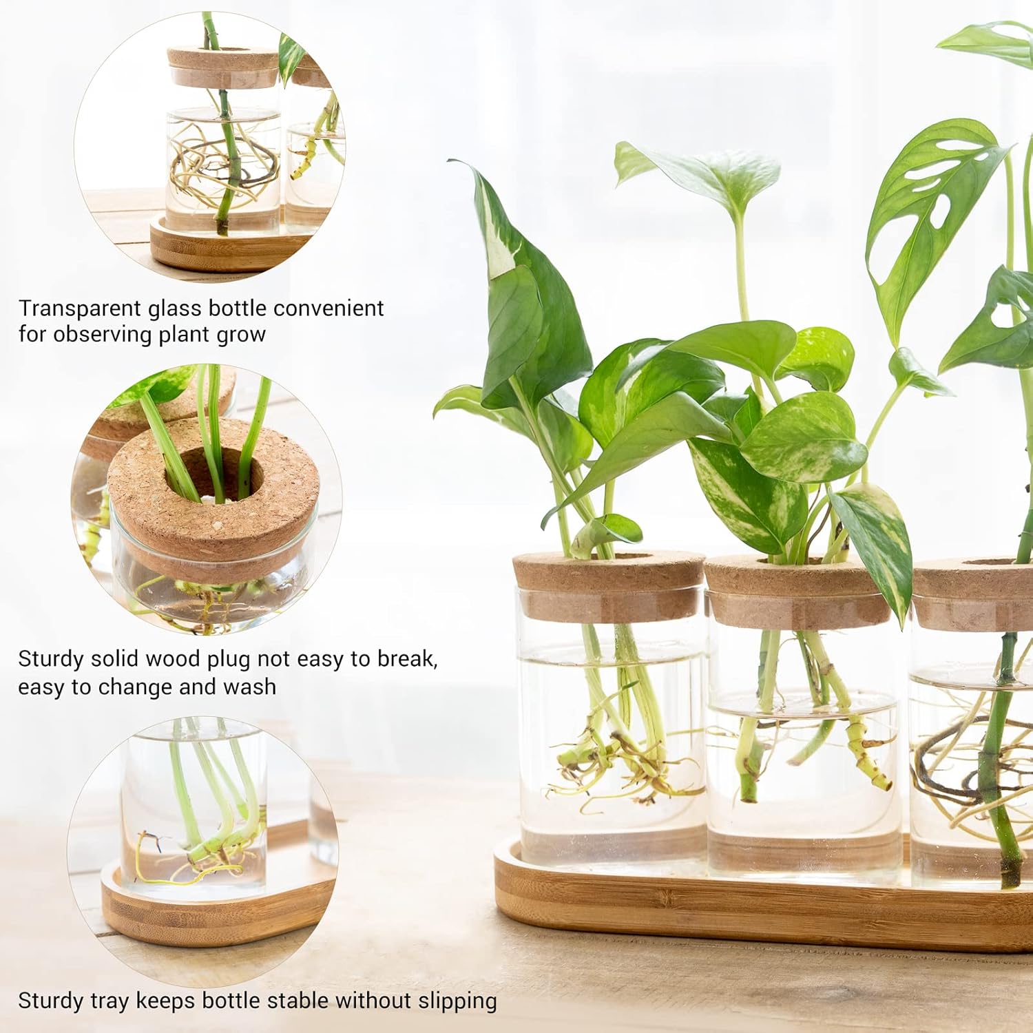 3 Pcs Glass Plant Propagation  - Propagation Station Vase recensione e prezzo