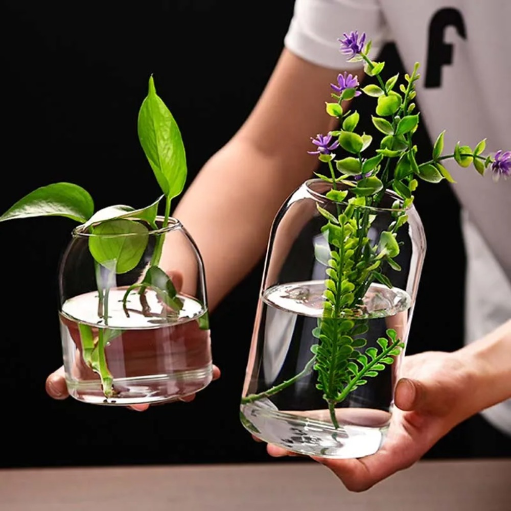 Creative Hydroponic Plant Glas - Propagation Station Vase recensione e prezzo