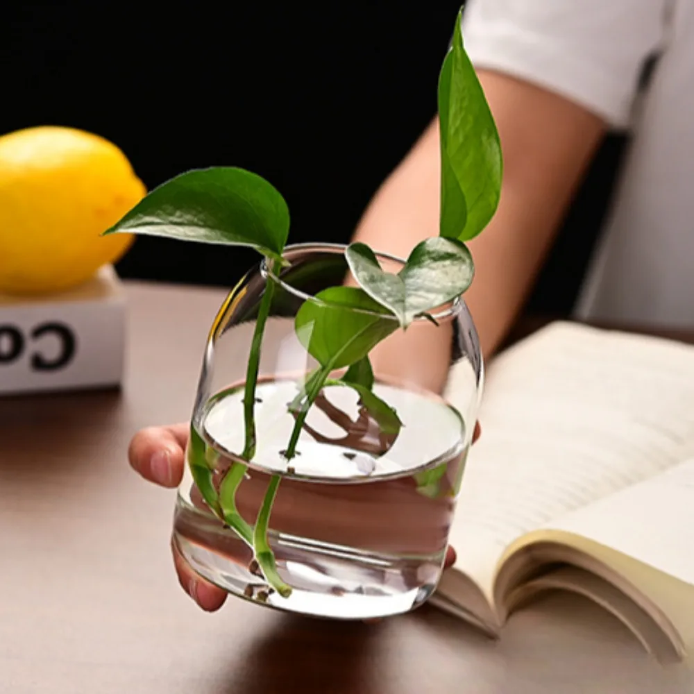 Creative Hydroponic Plant Glas - Propagation Station Vase recensione e prezzo