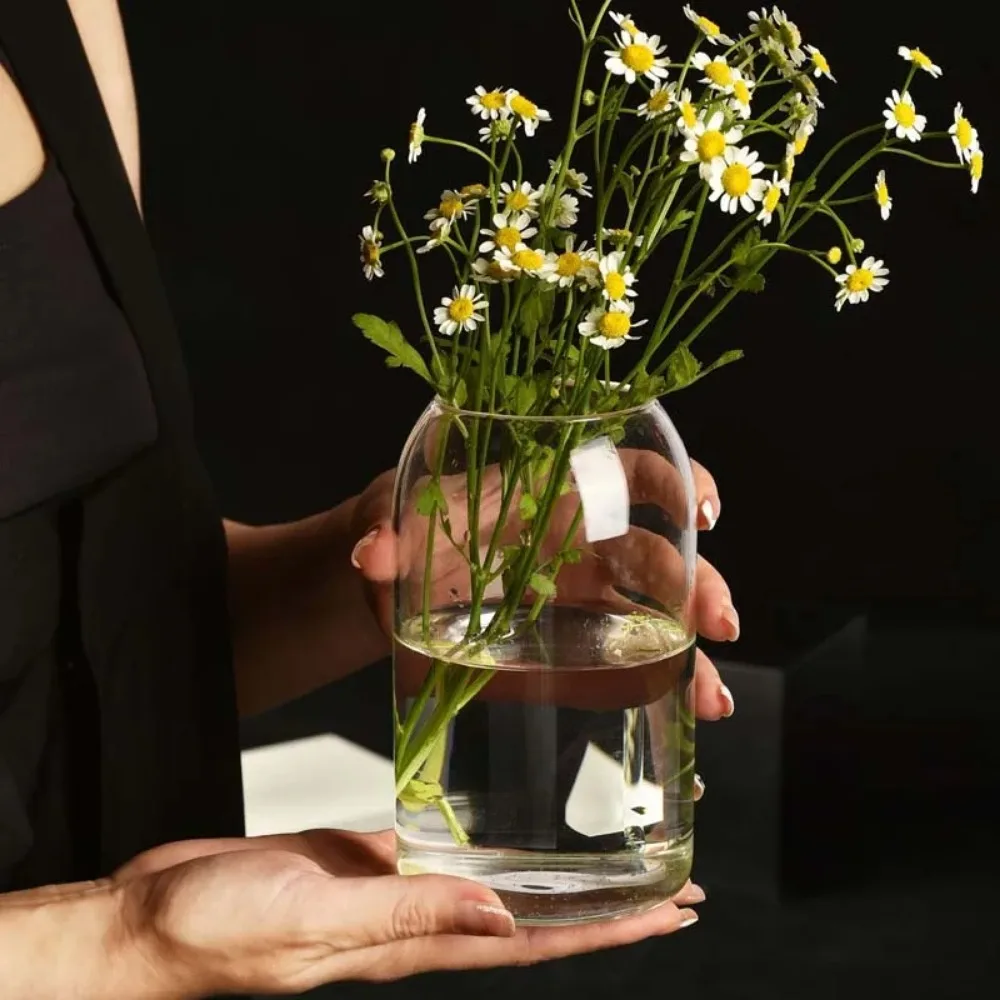 Creative Hydroponic Plant Glas - Propagation Station Vase recensione e prezzo